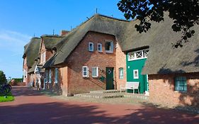 Seemöwe 5 Herrenhof